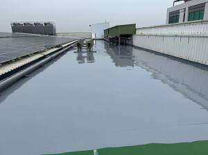 科技廠房屋頂3mm複合式聚脲防水